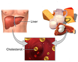 Холестерол