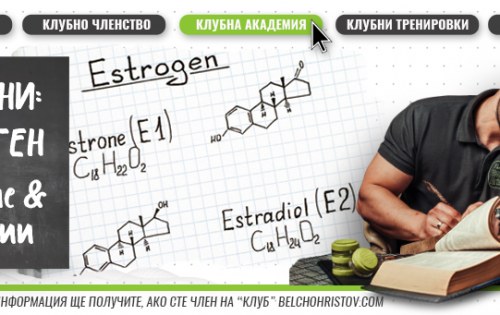 Хормони: естроген