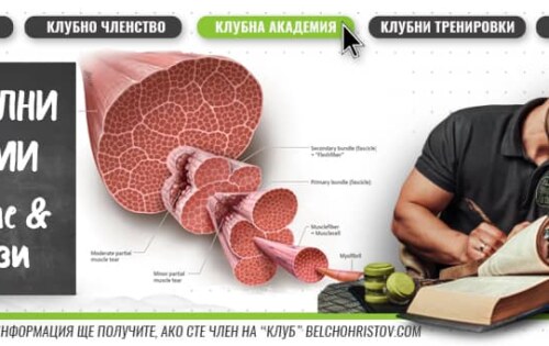 Мускулни травми | Ролята на храненето и хранителните добавки