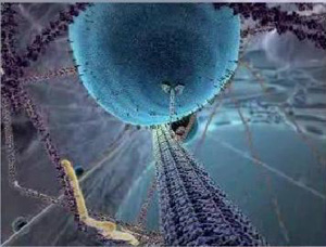 belchohristovcom_519