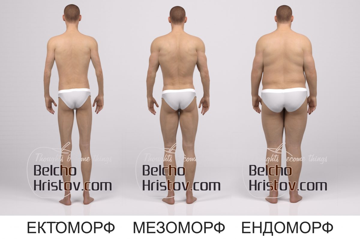 tipove_tialo_ectomorf_endomorf_mezomorf_3