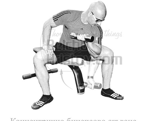 Концентрично сгъване за бицепс