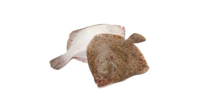 Калкан | Turbot – състав, калории, рецепти и приложение в диетите